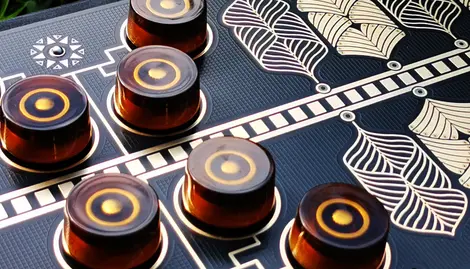 Phonic Bloom Siluria - Drone Synthesizer with FM Radio